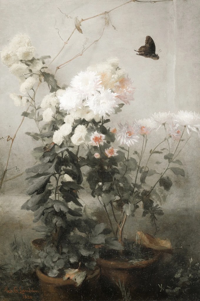 Vászonkép fali dekoráció Virágok cserépben 30x40