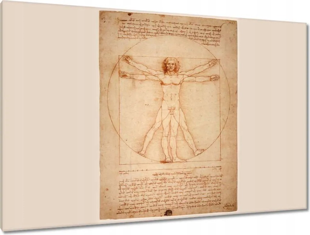Festmények 120x80 A vitruviusi ember