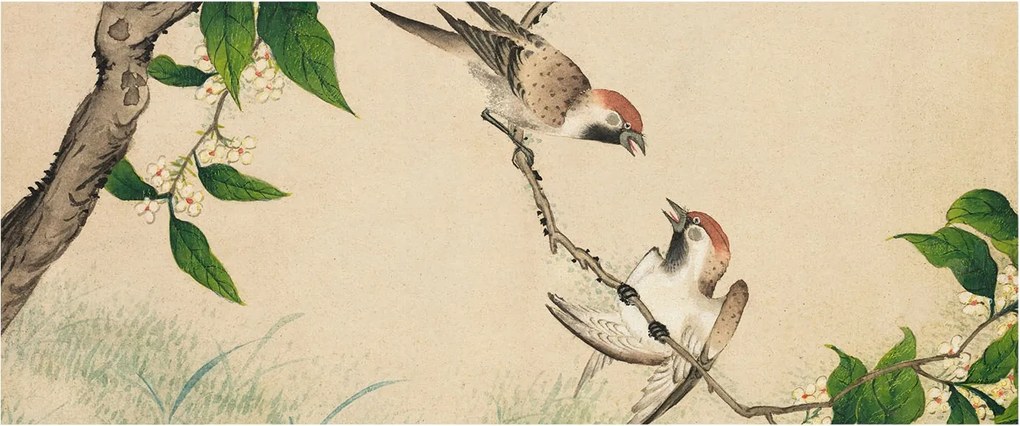 Flizelina Dekoratív Fotótapéta Hálószobába Klasszikus duó 250x104 Ragasztó