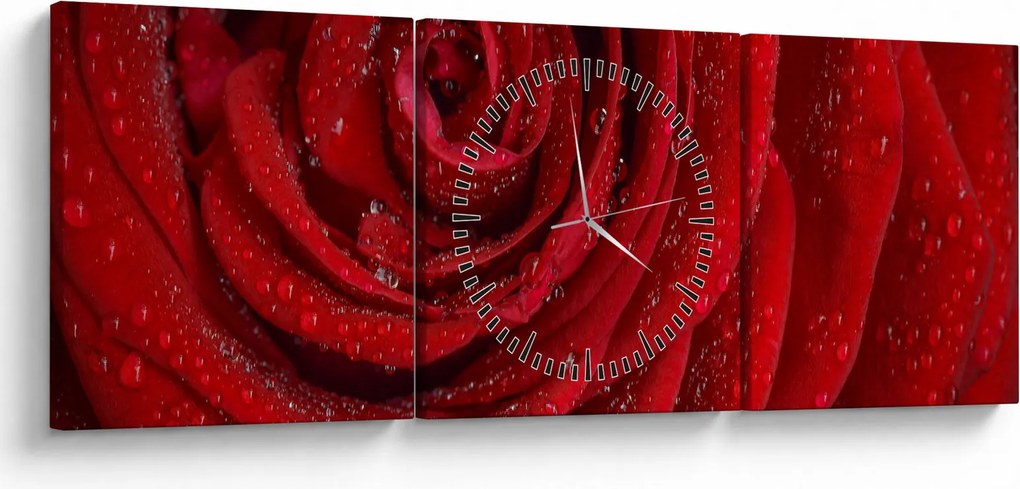 Kép - részlet a rózsáról (órával) (90x30 cm)