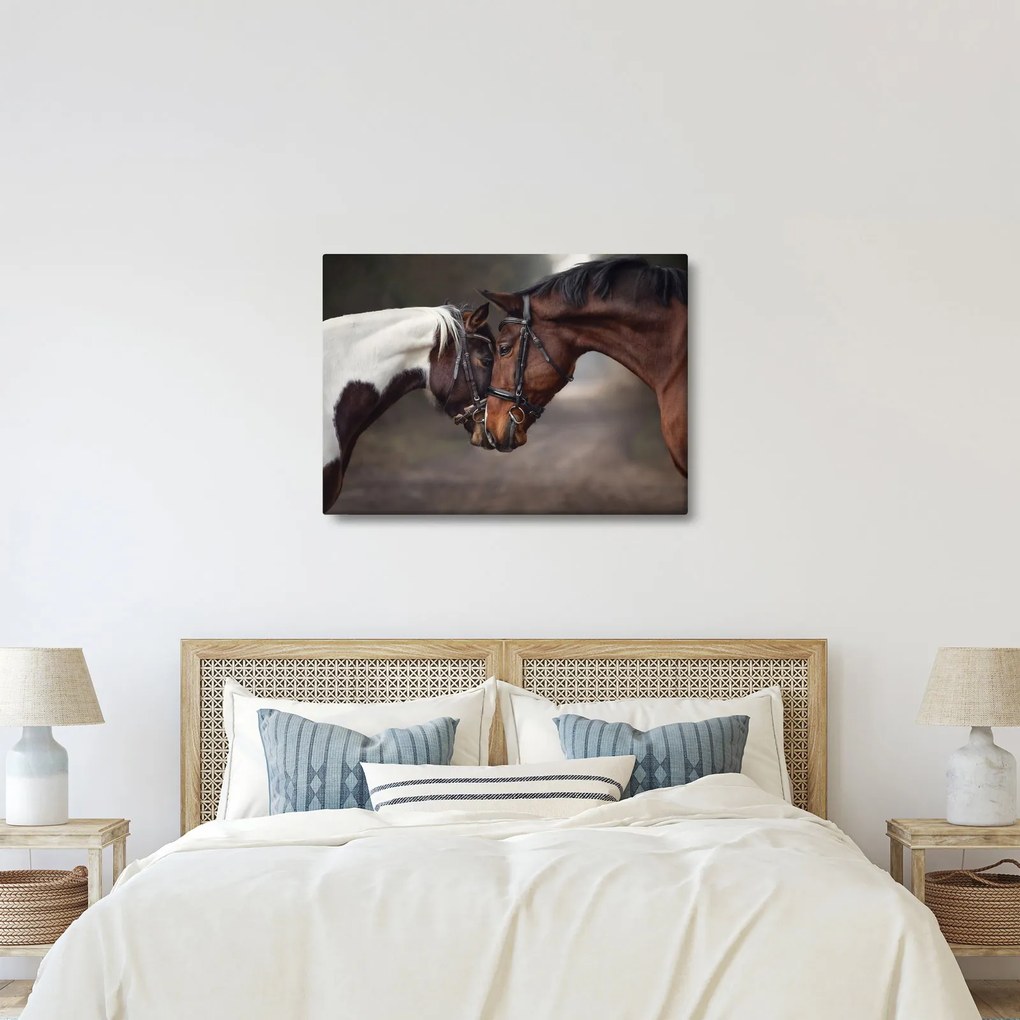Kép - Szerelmes lovak (70x50 cm)