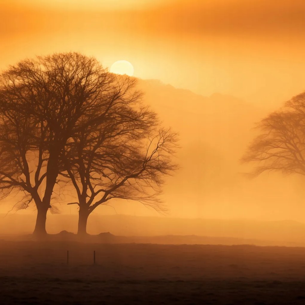 Poszter 60x60cm Alkonyat a tisztások felett