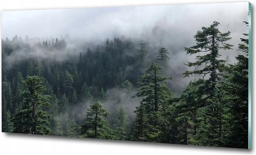 Fotó üvegfestmény Ösvény a sziklán 125x50