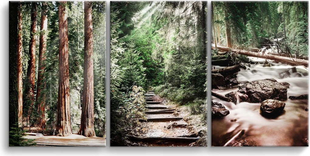 Elegáns vászonképek Erdei tájkép Triptichon a konyha nappalijába 90x180