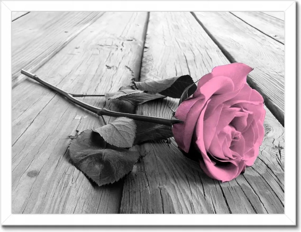 Poszterek keretben 40x30 Púderrózsa a deszkákon