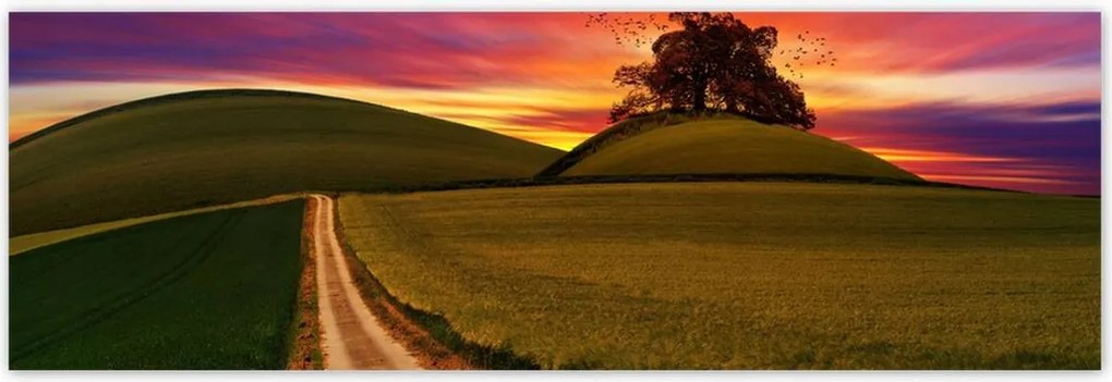 Poszterek 200x66 Naplemente Hegyek Fa