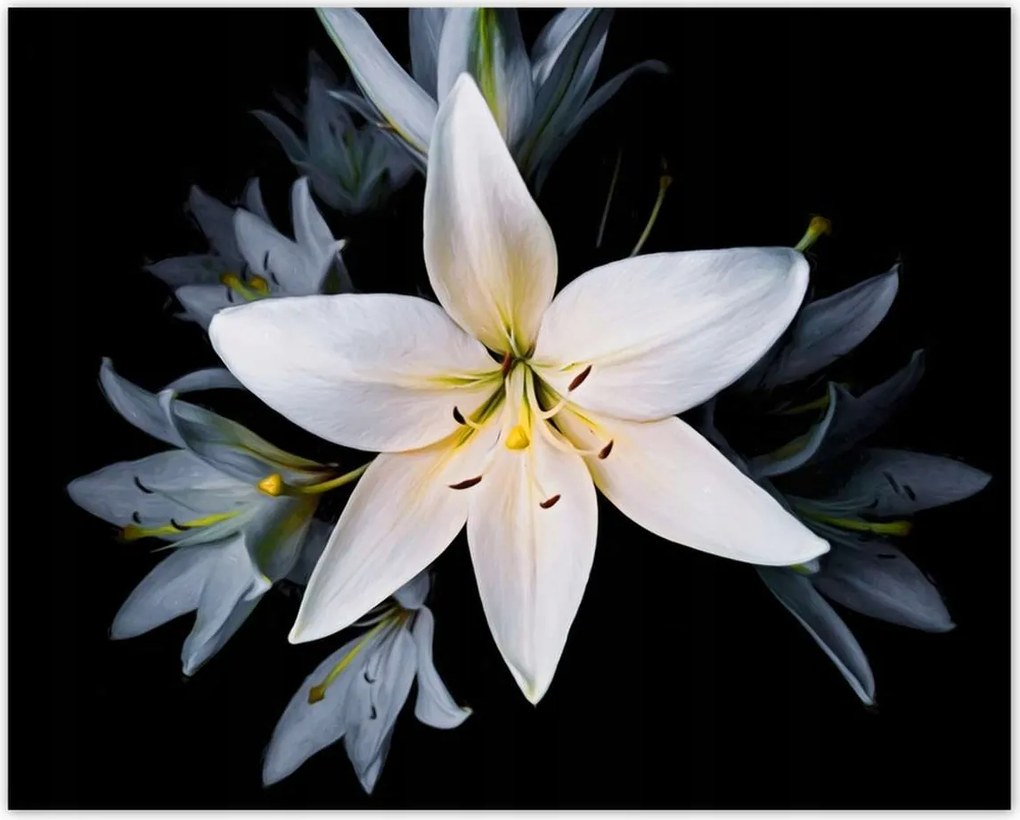 Poszterek 50x40 Csokor fehér Lili Virág