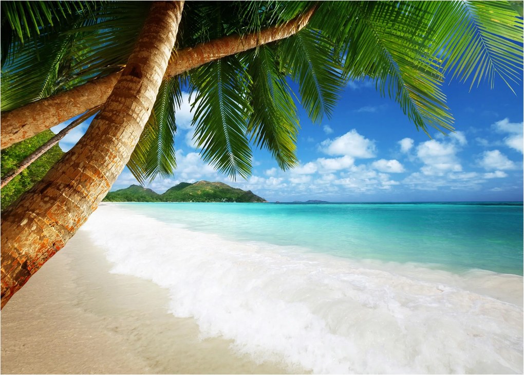 Fotótapéta Tengerpart Pálmafák A Nappali Hálószobájába Fali Tapéta 300x210