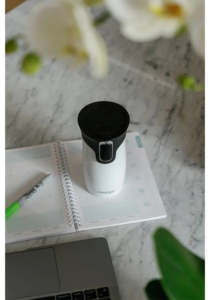 Contigo West Loop Mini 300 ml hőálló palack, só