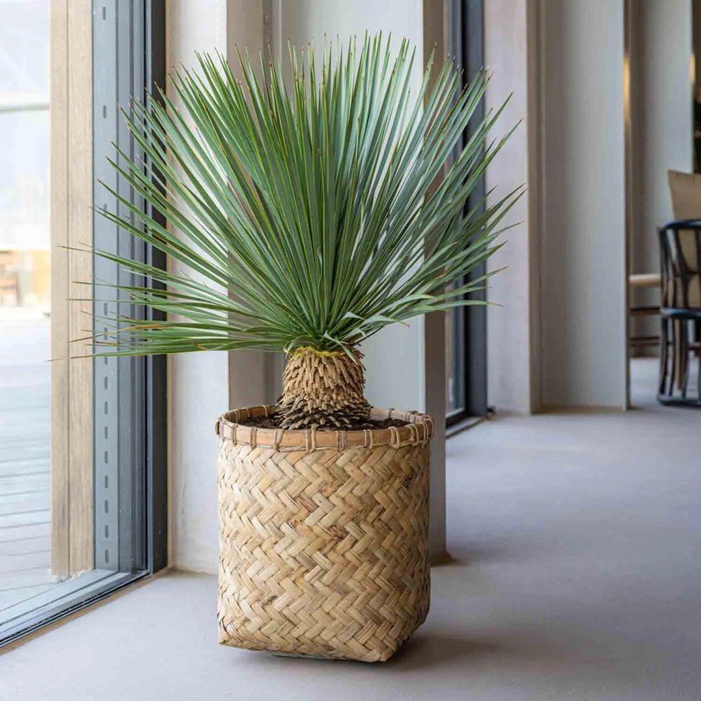 Pottery Pots Zayn virágcserép, natúr bambusz színű, többféle méretben - PotteryPots méret: XXL - 90 cm, ⌀ 90 cm