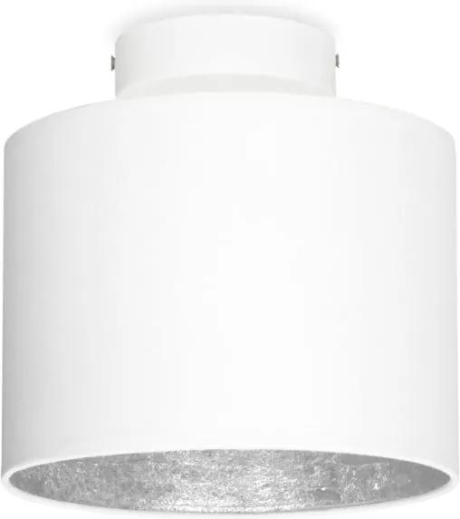 MIKA Elementary XS fehér mennyezeti lámpa ezüstszínű részletekkel, ⌀ 20 cm - Sotto Luce