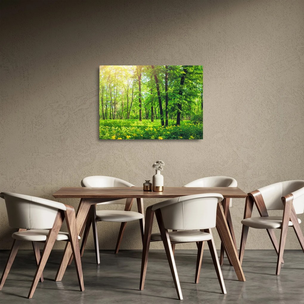 Kép - Tavaszi lomberdő (üvegen) (70x50 cm)