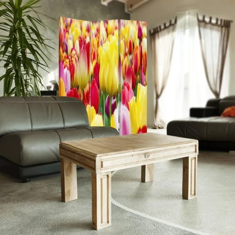 Gario Paraván Többszínu tulipánok Méret: 110 x 170 cm, Kivitelezés: Klasszikus paraván