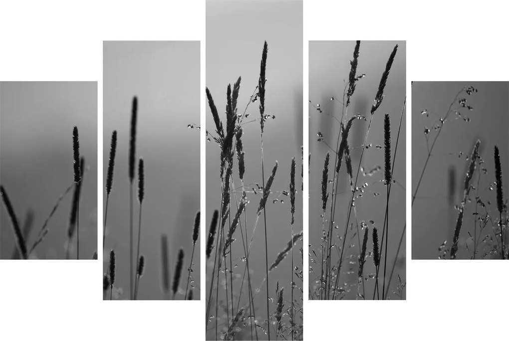 Kép - Fűszálak (150x105 cm)