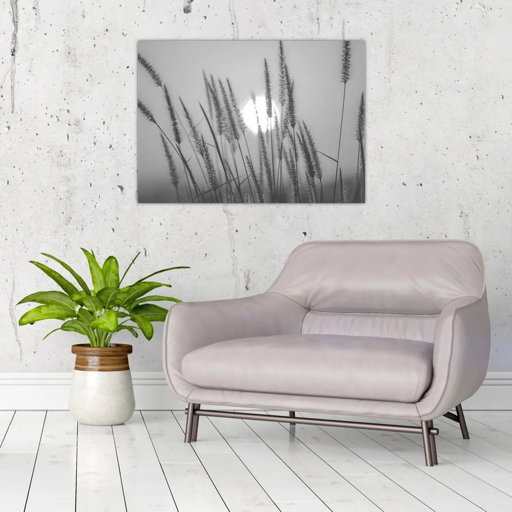 Üveg kép - Mező naplementében (70x50 cm)