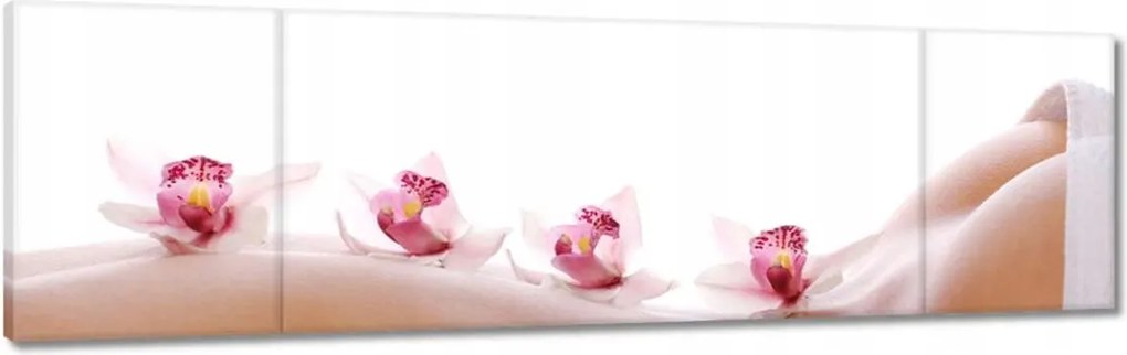 Képek 170x50 Pihenés a SPA-ban Orchideák