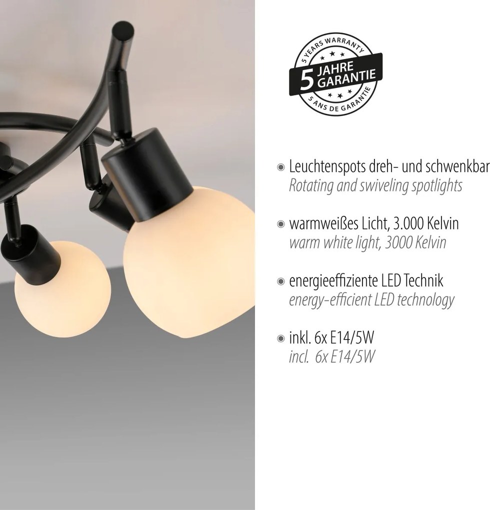 Paul Neuhaus modern spot lámpa loki fekete pln12155-18