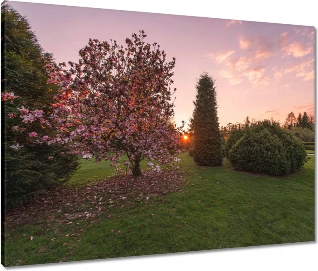 Vászonkép 80x60 Kilátás Tájkép