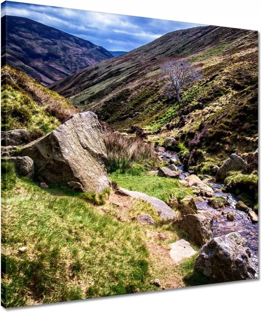 Vászonkép 50x50 Hegyi patak