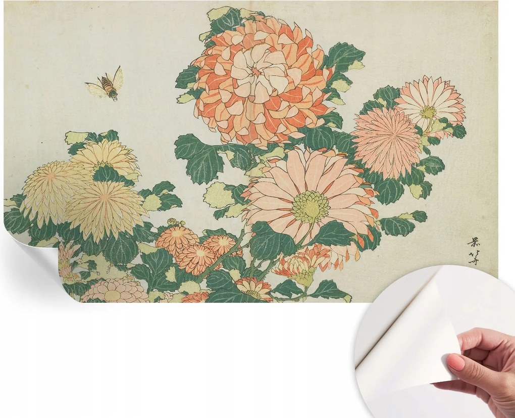 Öntapadós Dekoratív Fotótapéta Hálószobába Krizantém Virágok 416x254