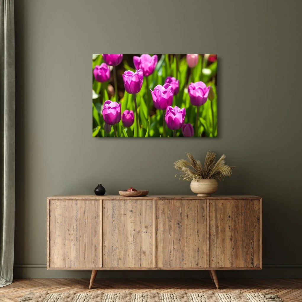 Tulipánok a réten képe (90x60 cm)