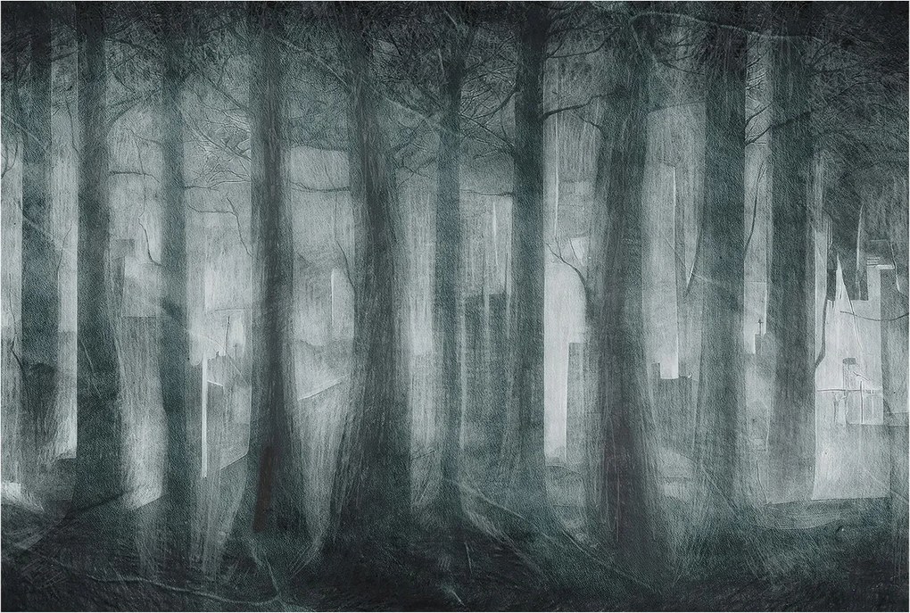 Fotótapéta Flizelin Hálószoba és Nappali tapéta Rejtélyes erdő 104x70