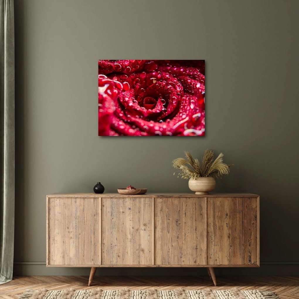Vörös rózsa virágzata képe (70x50 cm)