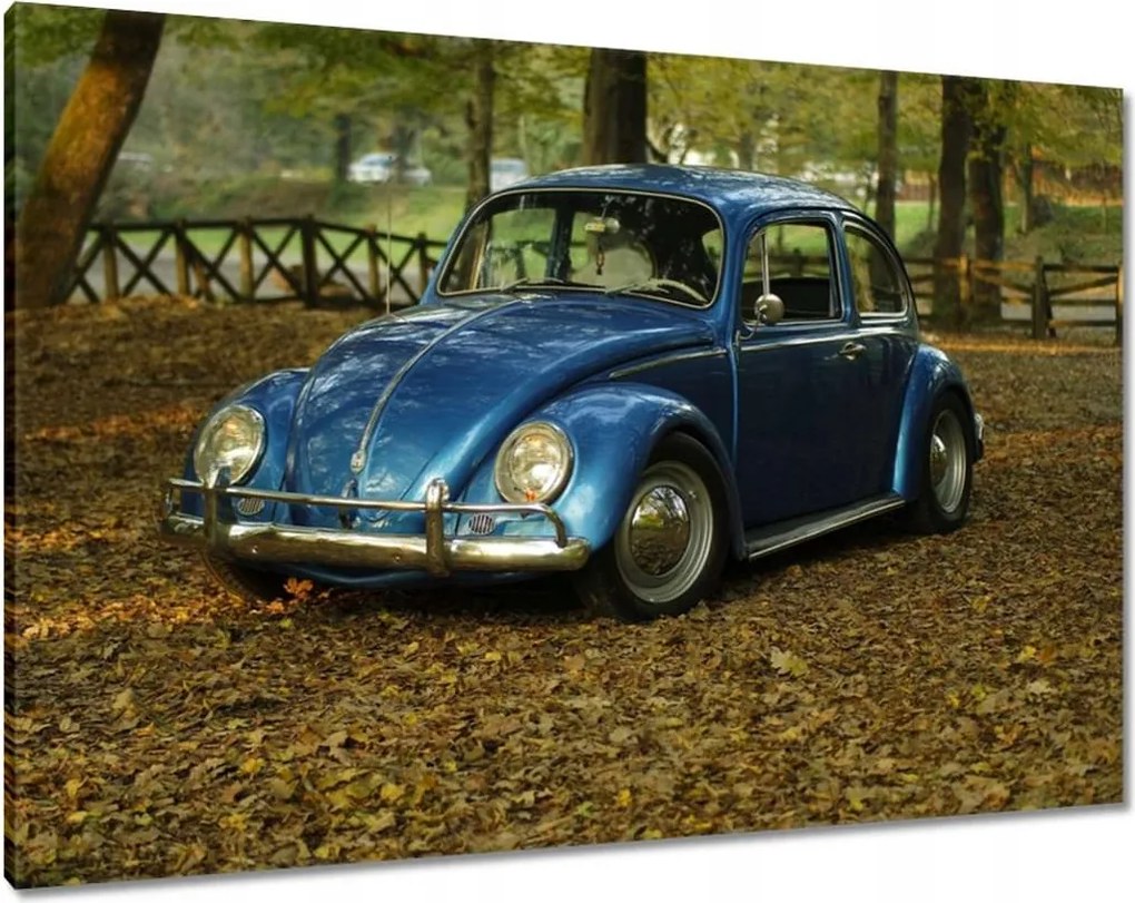 Vászonkép 100x70 Bogár Vw autó]