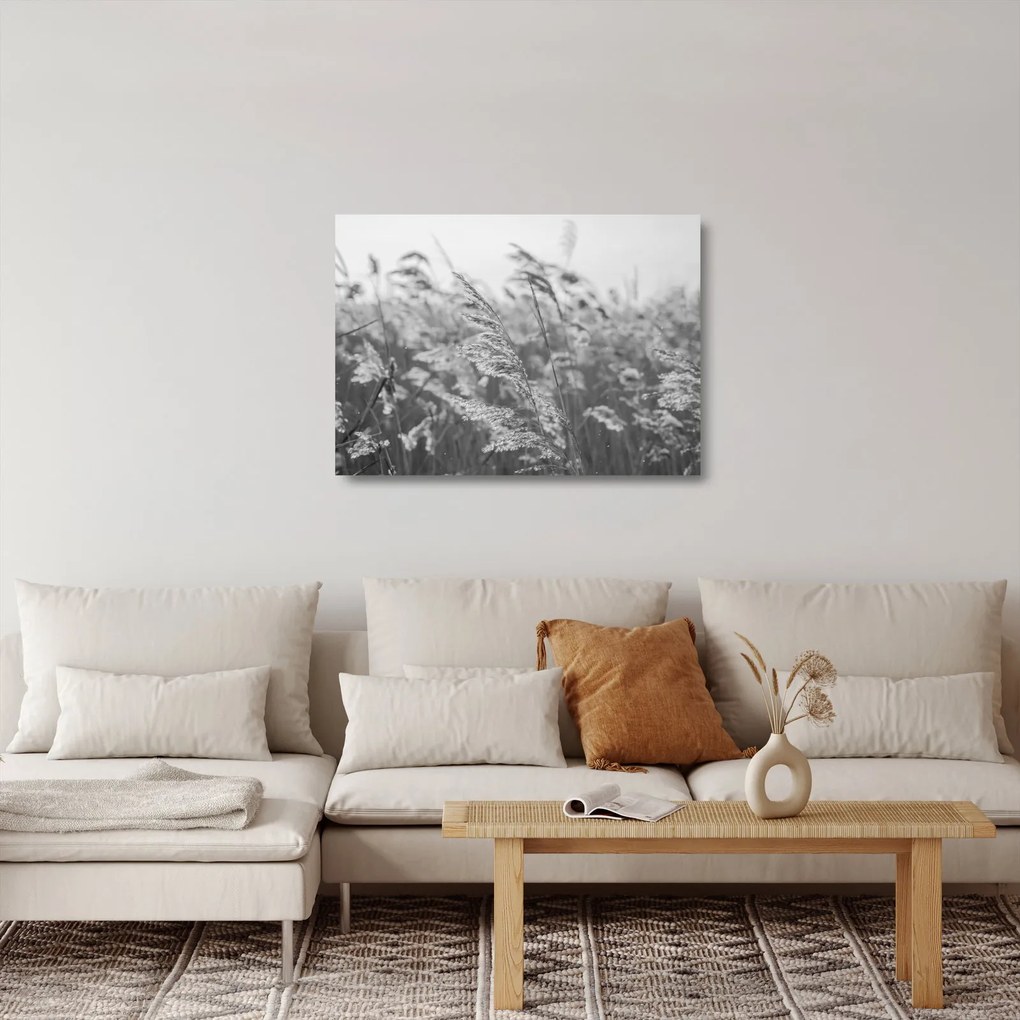 Üveg kép - Fű a szélben (70x50 cm)