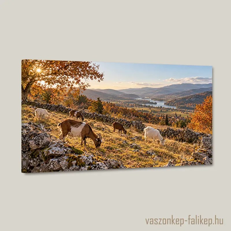 Őszi legelő fényei – prémium vászonkép 40x23 cm