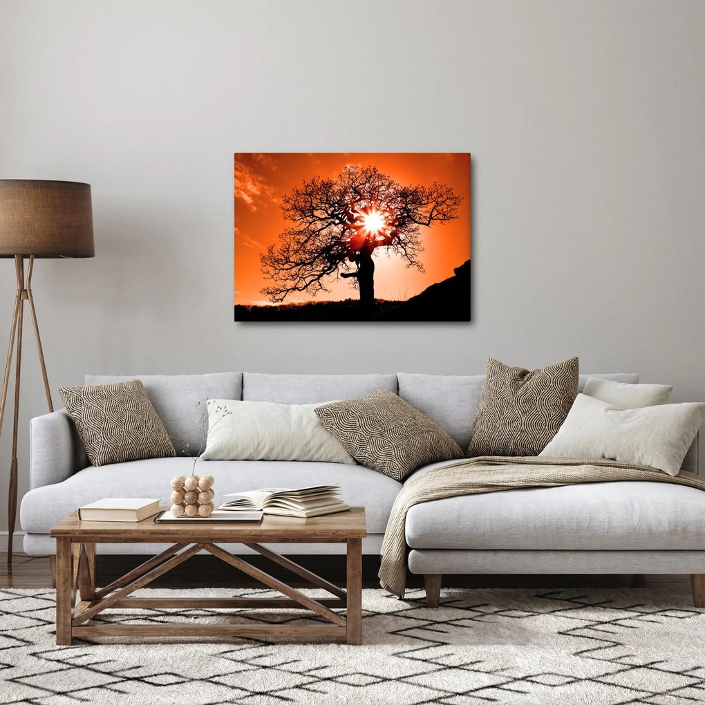 Kép - Tölgy napnyugtakor (70x50 cm)