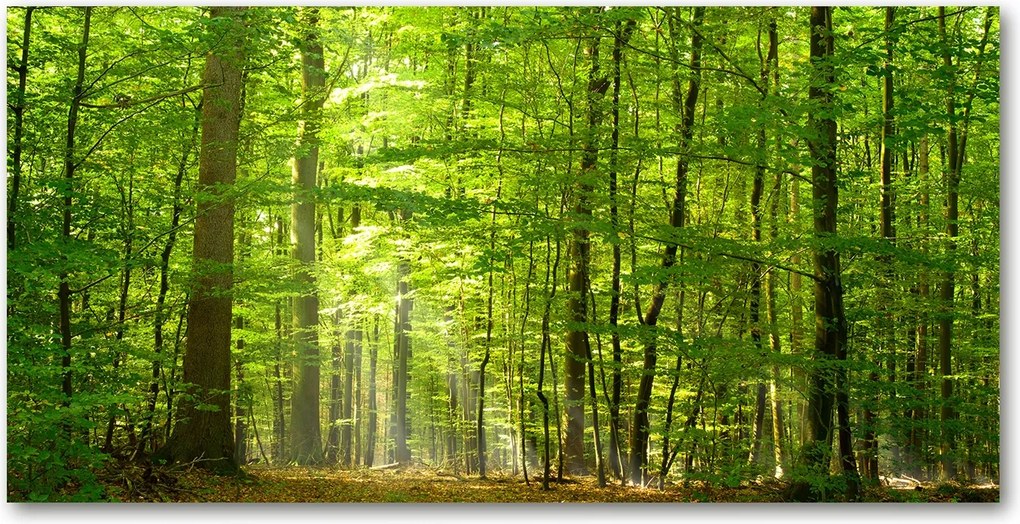 Konyhai panel Lombhullató erdő 140x70 cm Ragasztó