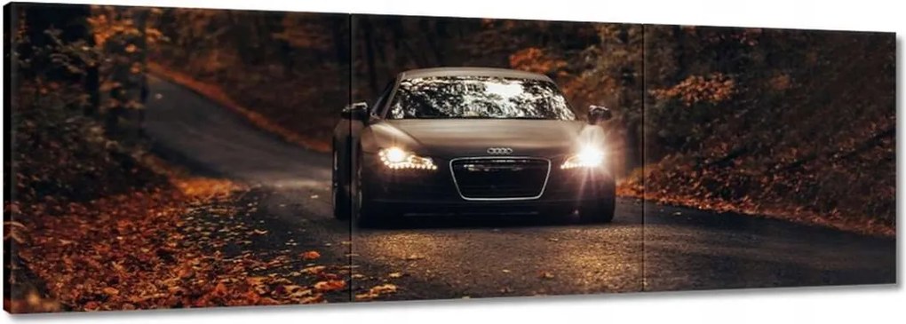 Képek 150x50 Audi Őszi tájkép