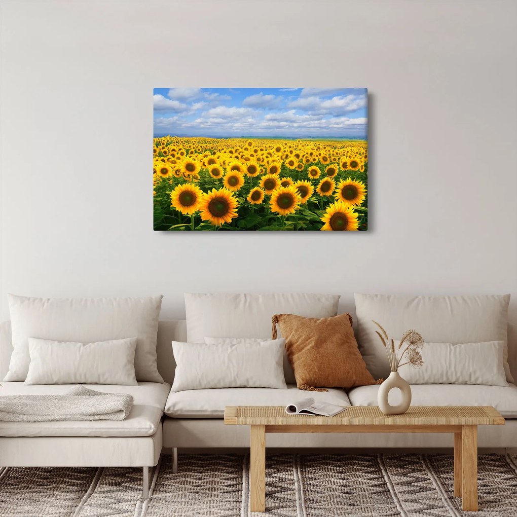 A napraforgó mező képe (90x60 cm)