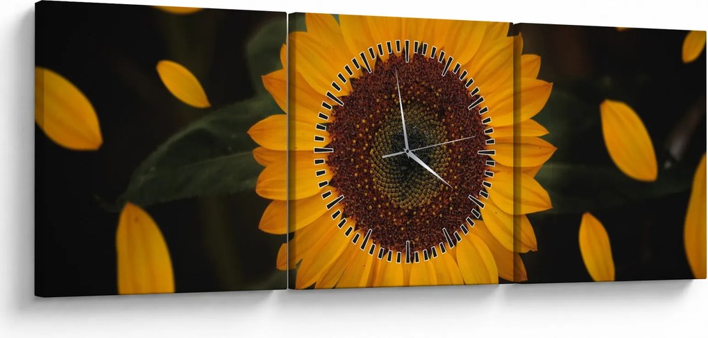Kép - Napraforgók és a virágszirmok (órával) (90x30 cm)