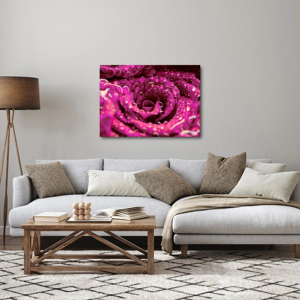 Rózsaszín rózsa virágzata képe (70x50 cm)
