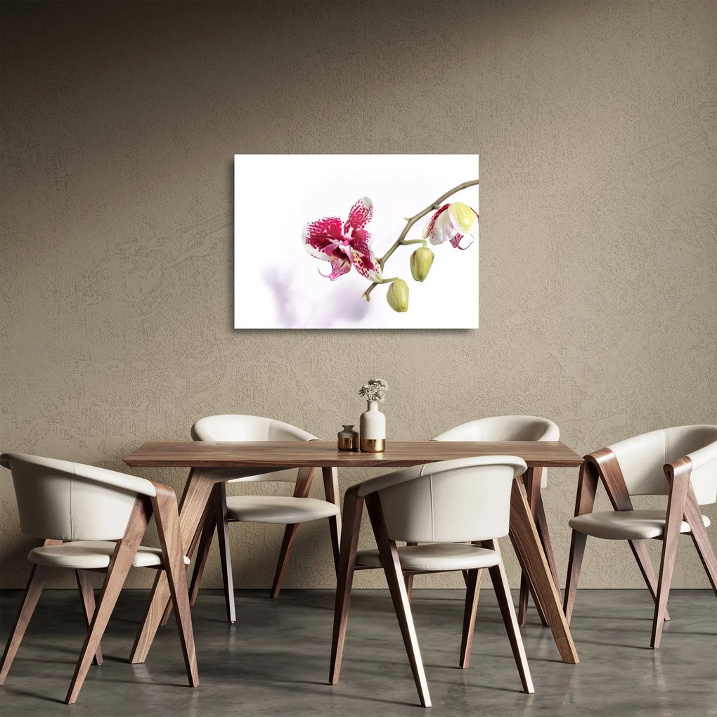 Orchidea virág képe (üvegen) (70x50 cm)