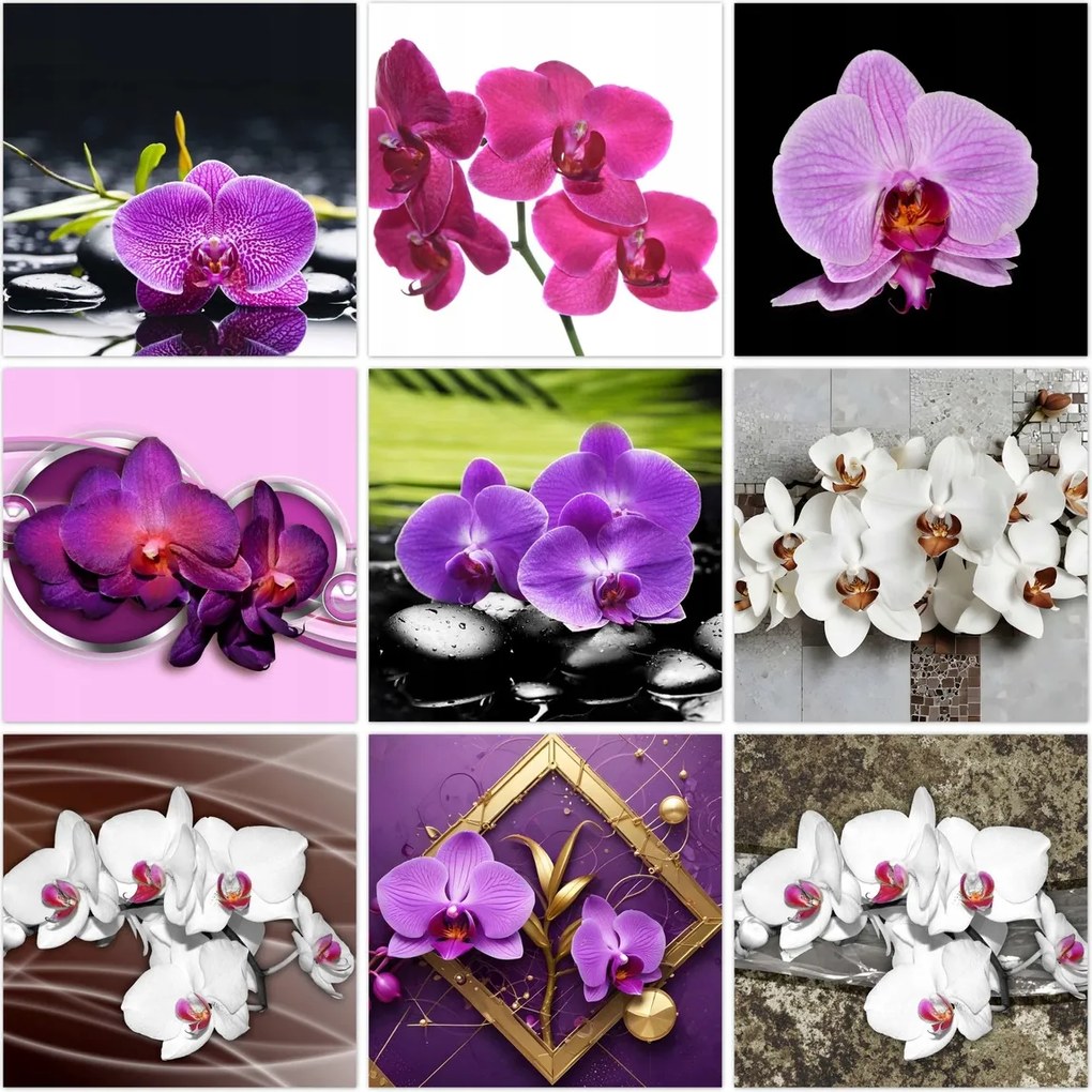 Kép szett 9x 50x50 Mix Orchideák
