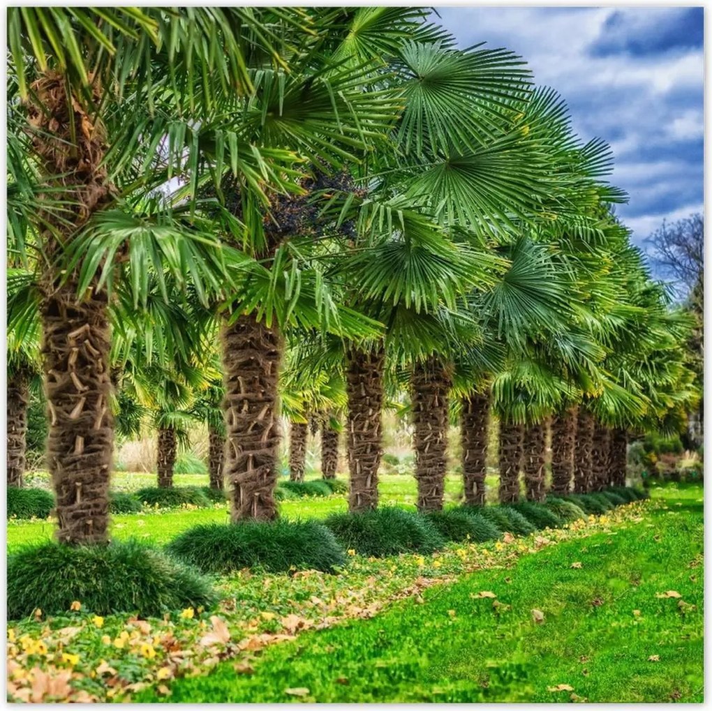 Poszterek 100x100 Tájkép