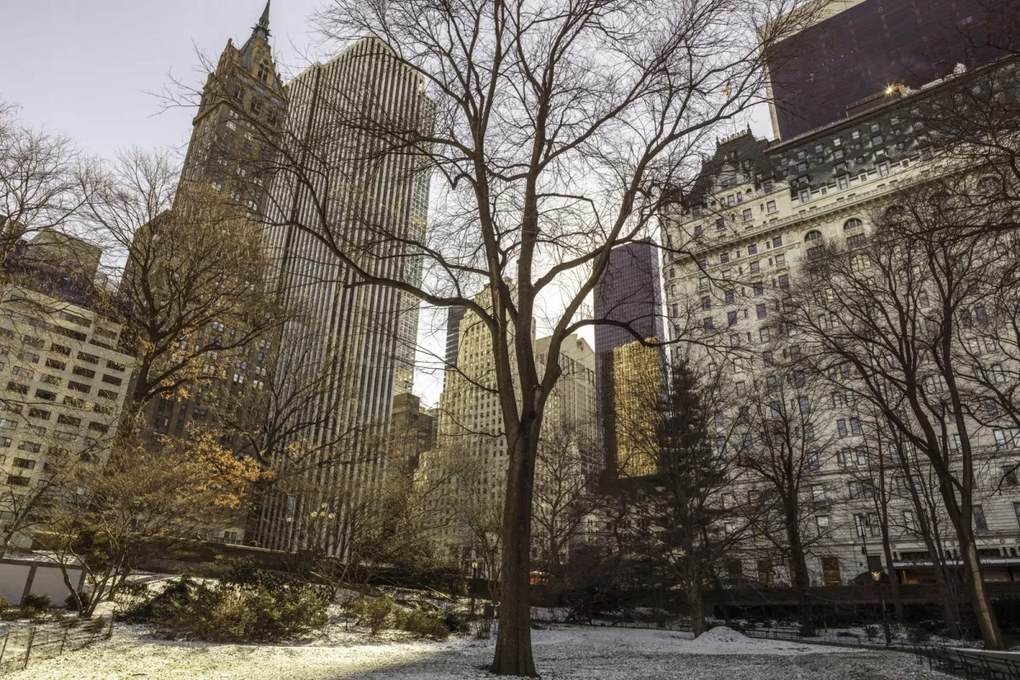 Poszter 91,5x61cm Központi park panorámával Alsó-Manhattan 2, Assaf Fran