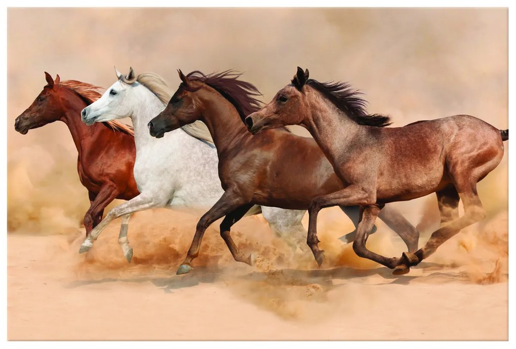 Gario Vászonkép Gyönyöru lovak állománya Méret: 100 x 70 cm