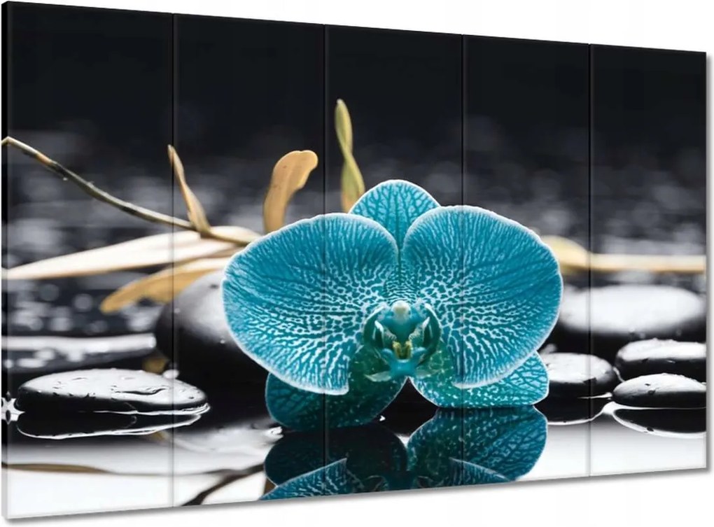 Vászonkép 100x70 Türkiz orchidea Virág