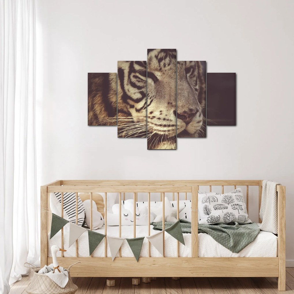 Tigris képe (150x105 cm)