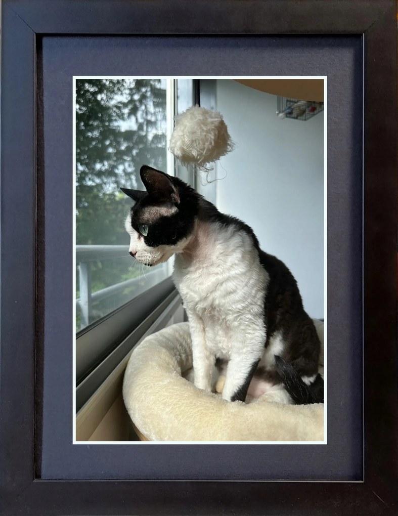 Fényképtartó Keret 30X40 Fa Fekete Szín+passe-partout