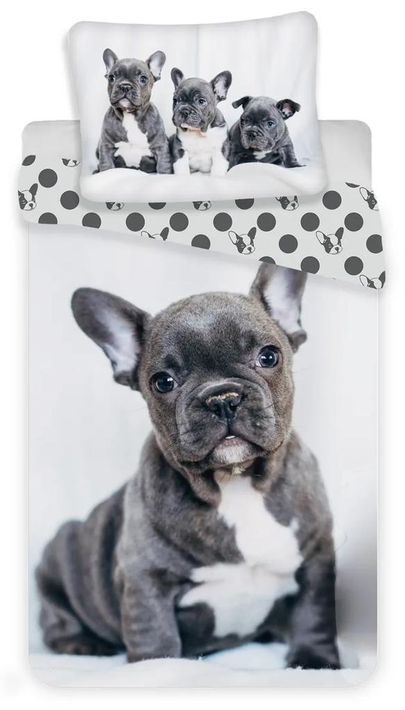 Jerry Fabrics Bulldog gyermek pamut ágynemű, 140 x 200 cm, 70 x 90 cm
