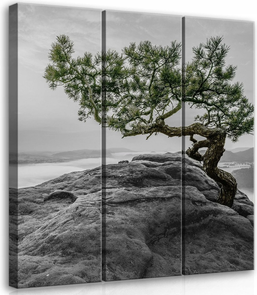 Vászonkép 90x100 Immunerősítés Megingathatatlanság Magány Meditáció Nyugalom Természet