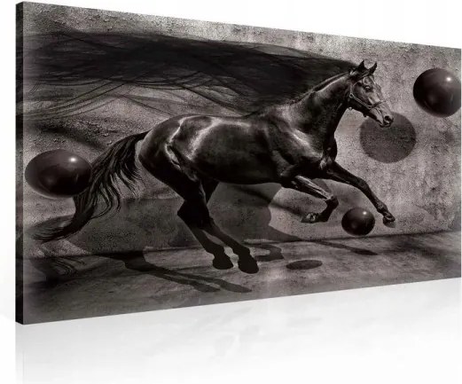 Vászonkép 80x60 Ló futás mozgás erő kecsesség dinamika sebesség misztika