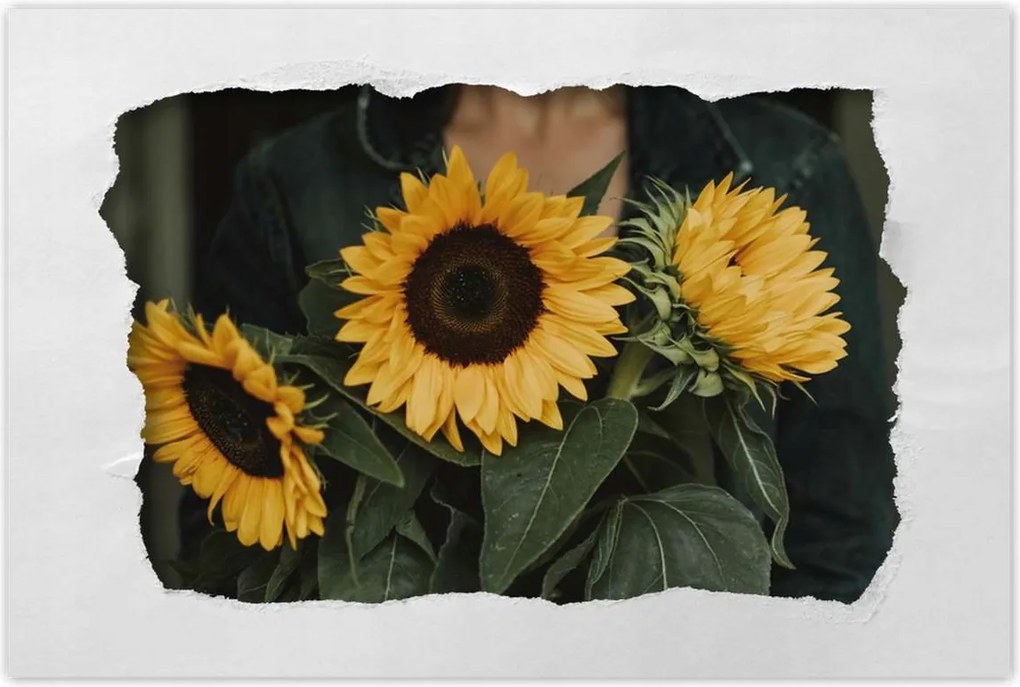 Poszterek 90x60 Napraforgók Virágok