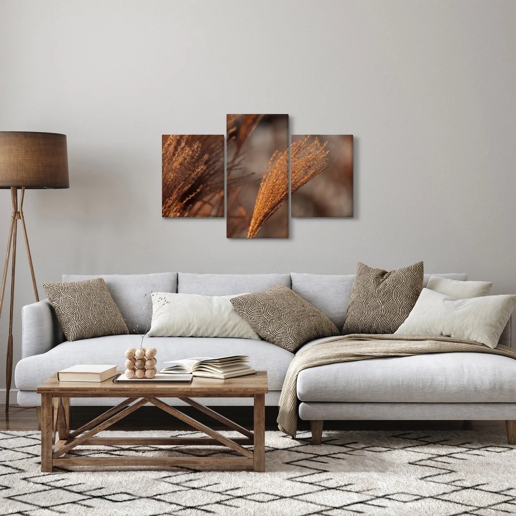 Kép - Cortaderia (90x60 cm)
