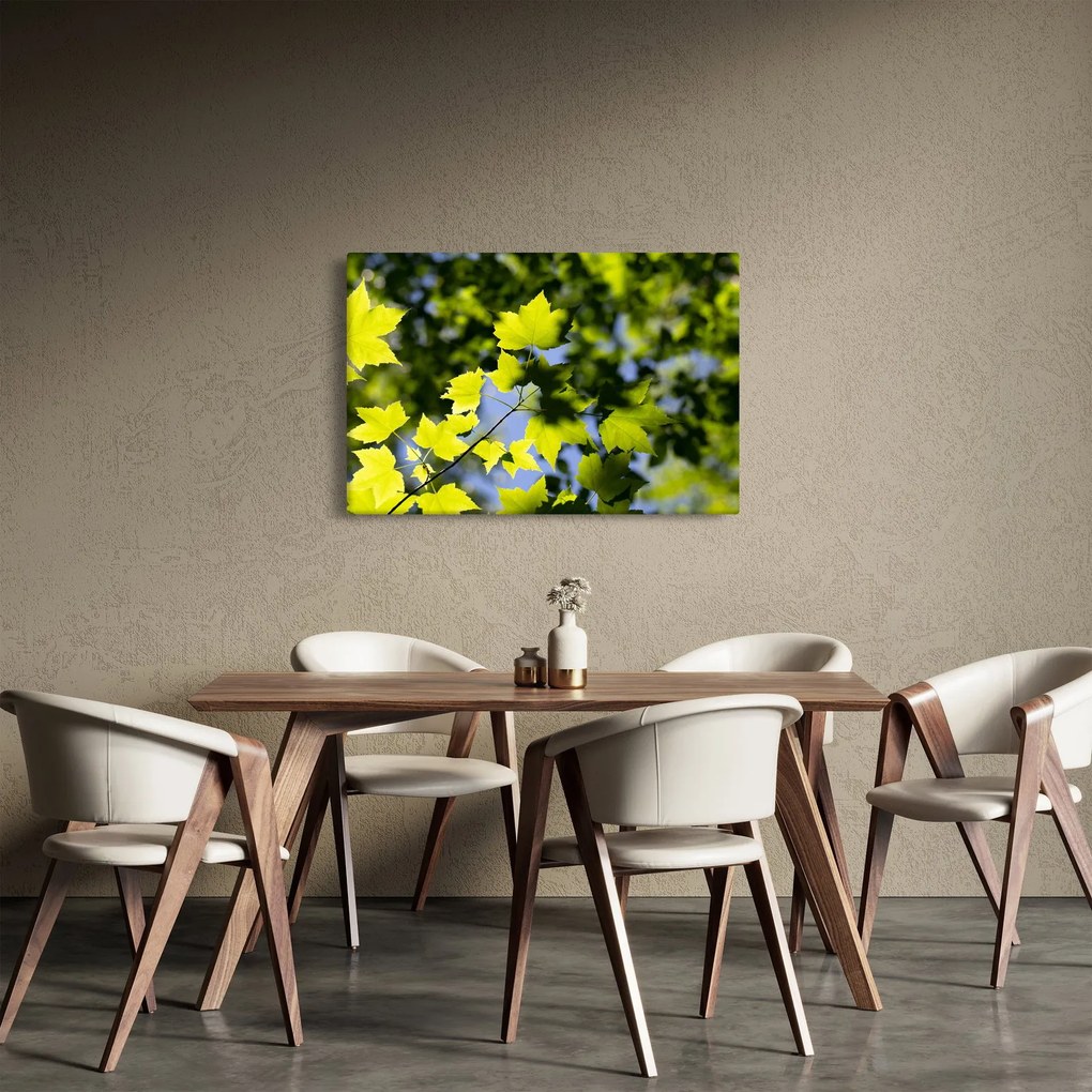 Kép - juhar levelek (90x60 cm)